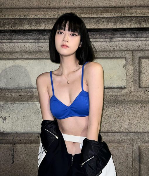 INSTOCK | Conne triangle bralette – only blue
